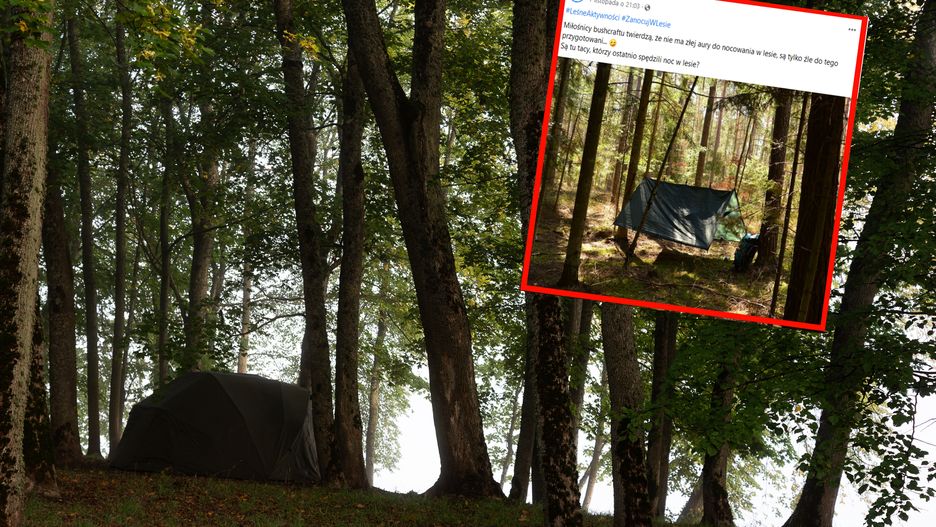 Wpis Lasów Państwowych wywołał burzę