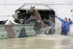 Sytuacja wciąż trudna, choć poziom wód powoli opada