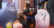 Box office USA: zwierzaki domowe opanowały kina [PODSUMOWANIE]