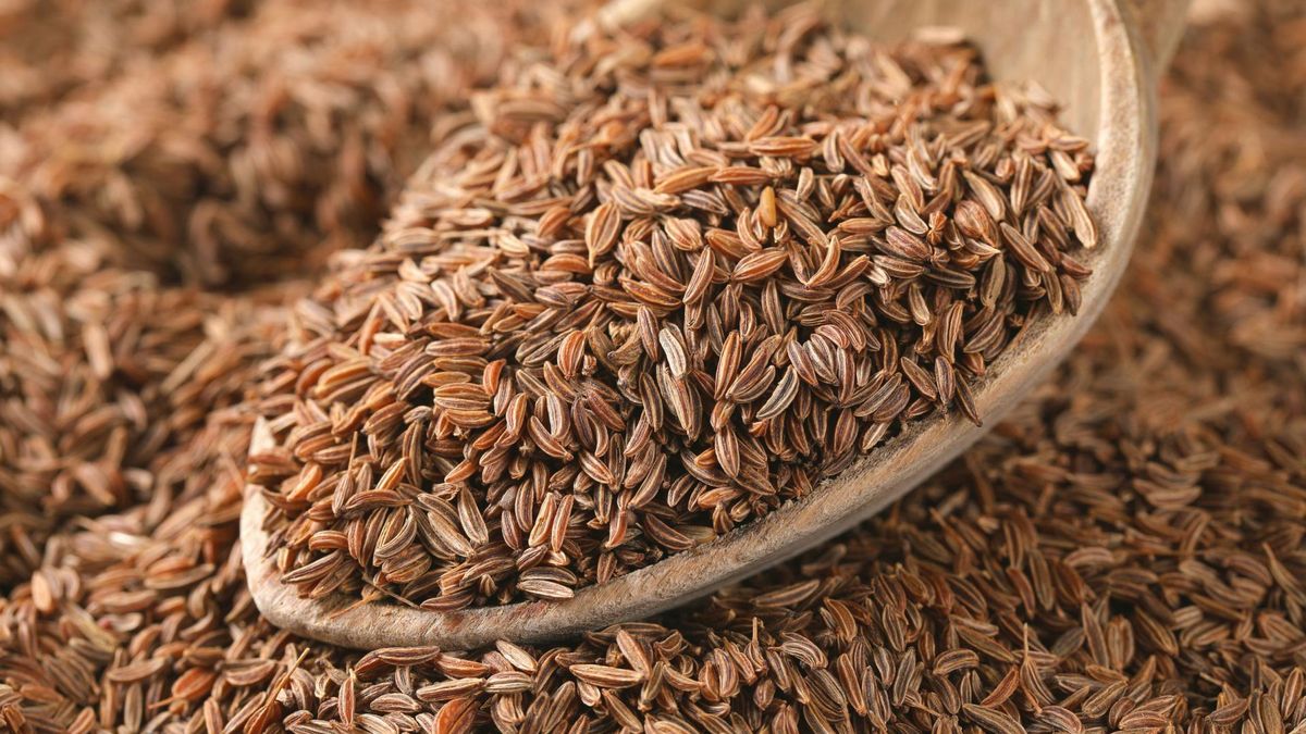 Kmin ma wiele właściwości prozdrowotnych