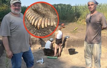 Naszyjnik z 42 zębów znaleziony pod Wrocławiem. Naukowcy datują kurhan na ok. 5 tys. lat
