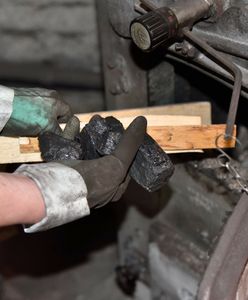 Było niecałe 300, jest 700 zł. Popłoch w kolejnej branży