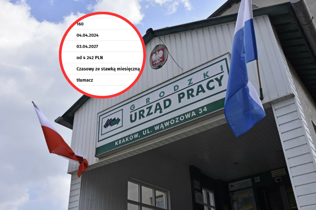 Wymagają znajomości pięciu języków. Stawka? Lepiej usiądźcie