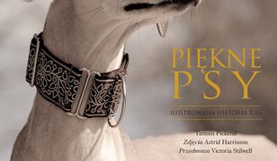 Piękne psy