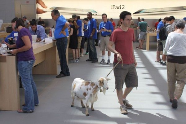 Czego nie można robić w Apple Store? [wideo] 1