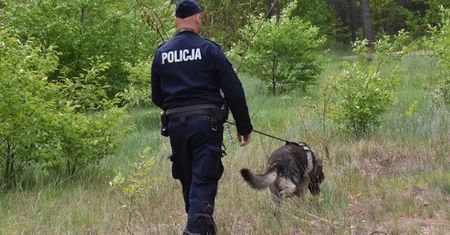 Zgwałcił 13-latkę w parku. W Rzeszowie zapadł prawomocny wyrok