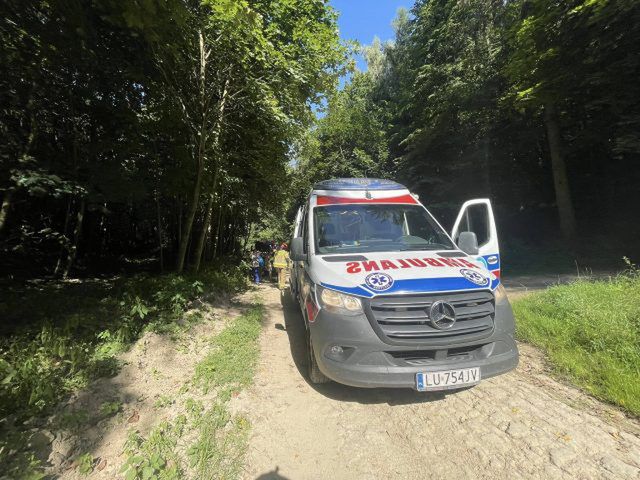 Dwoje dzieci przysypanych ziemią w lesie. Szybka reakcja opiekunów zapobiegła tragedii (zdjęcia)