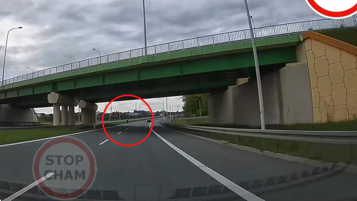 Nagranie z S17. Starsza pani szła po drodze.