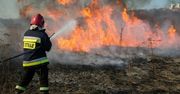Szczecinek: Strażacy podsumowali tydzień w powiecie. Interweniowali 31 razy