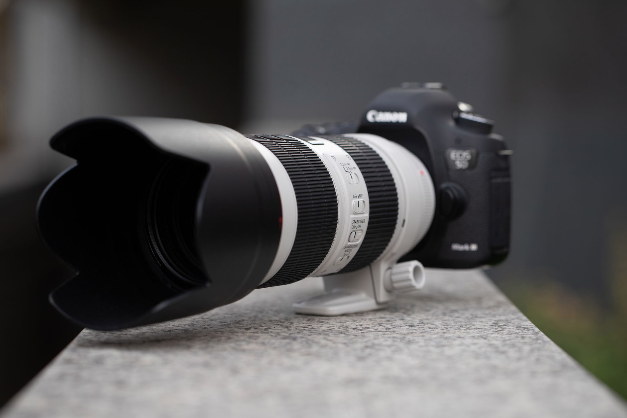 Canon EF 70-200 mm f/2.8L IS III USM - odświeżona wersja świetnego obiektywu [test] 6