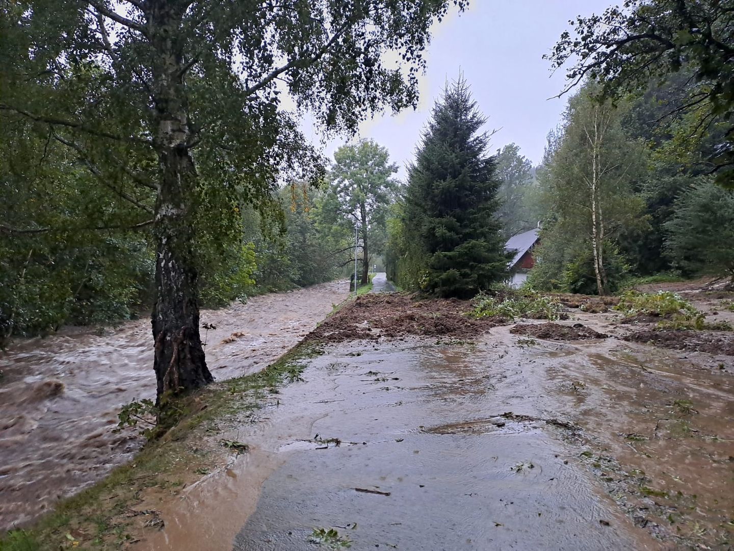 To jej ciało znaleziono w Polsce podczas powodzi. Czesi potwierdzają