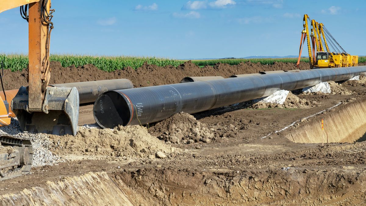 Uniezależnienie się od rosyjskich surowców może zająć kilka lat 