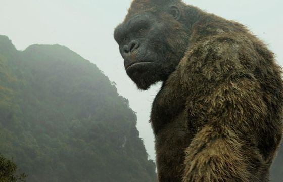 "King Kong: Wyspa Czaszki" hitem