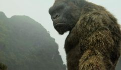 "King Kong: Wyspa Czaszki" hitem