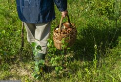 Zasłabł w lesie. Odebrał telefon od policji. Liczył się czas