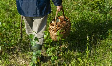 Zasłabł w lesie. Odebrał telefon od policji. Liczył się czas