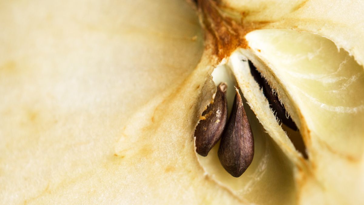 Dlaczego warto jeść jabłka?