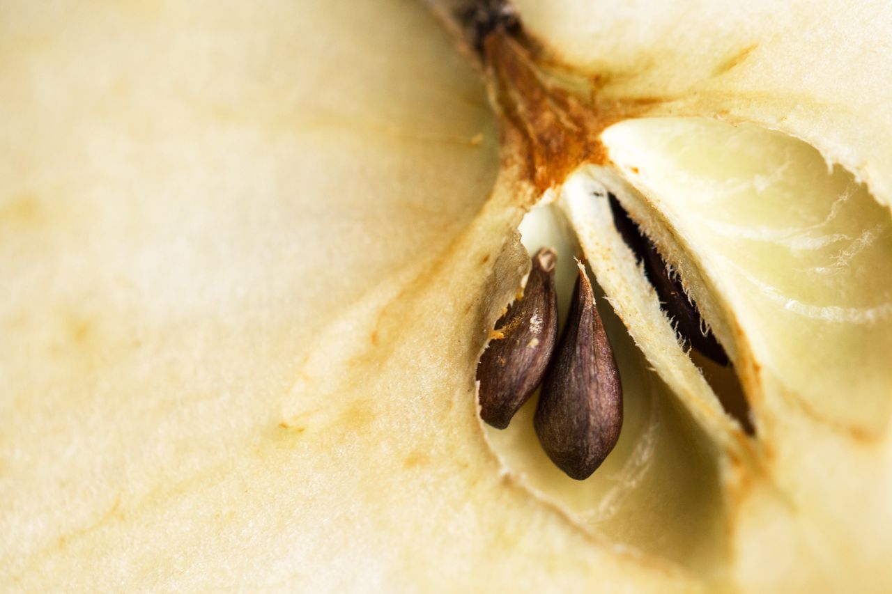 Unlocking health: The hidden power of two daily apples