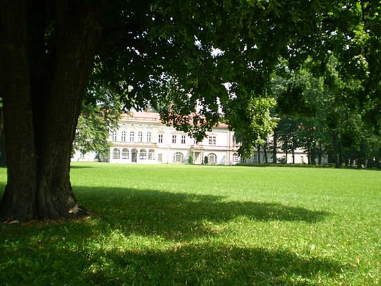 Obraz