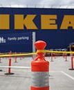 IKEA wycięła starodrzew