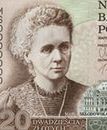 Maria Skłodowska-Curie ponownie na banknocie