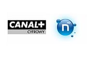 Wielkie czystki w Canal+! Znikają "n" i Cyfra+
