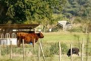 Niechciany miliard euro na miejsca pracy na wsi