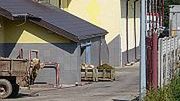 Obraz