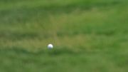 Golf coraz bardziej popularny