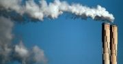 Elektrownie nie chcą biomasy