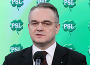 PSL proponuje unieważnienie umów na opcje walutowe