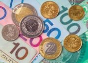 NBP gotów przeciwdziałać dużemu osłabieniu złotego