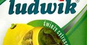 UOKiK ukarał producenta Ludwika