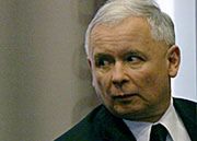 "Jarosław Kaczyński niczym ciasteczkowy potwór"