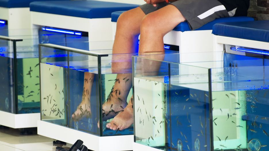 Fish pedicure ma swoich zwolenników i przeciwników 