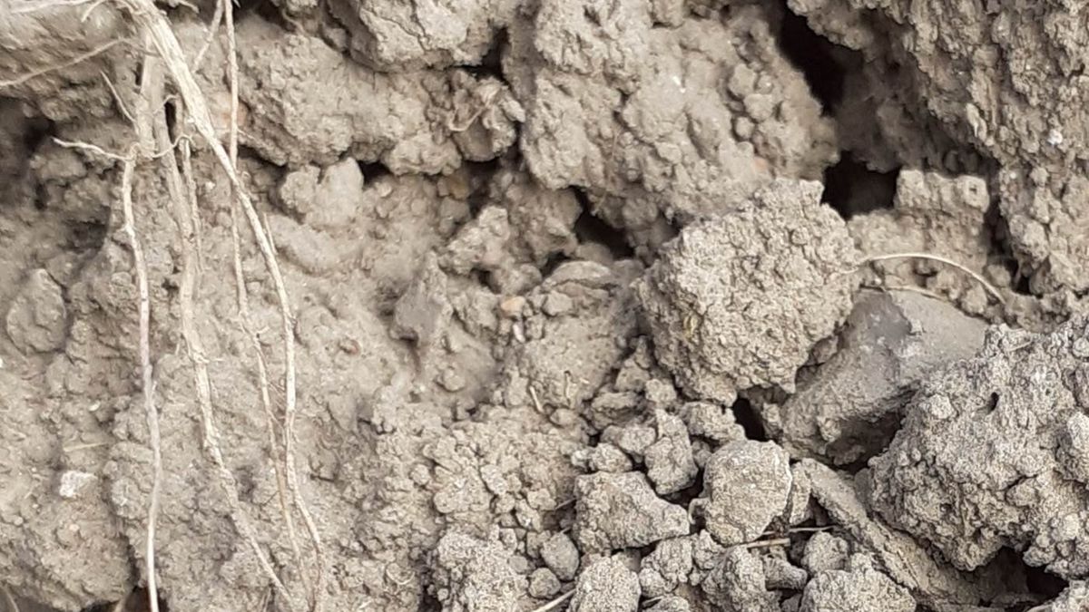 Jedno z wykopalisk fundacji.