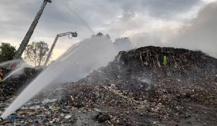 Gigantyczny pożar w Rudzie Śląskiej. Trwa akcja straży