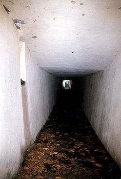 391905668678762761