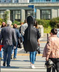 Spis powszechny. Czwartek ostatnim dniem. Za odmowę wysokie kary