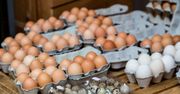 Ale jaja! Nie tylko kurze – jakie jajka można jadać?