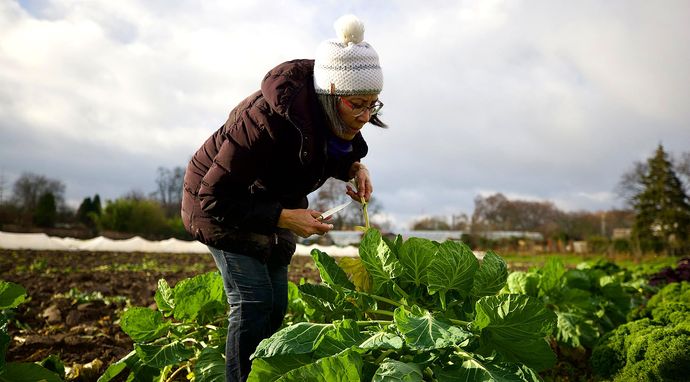 U sąsiadów w kuchni 15