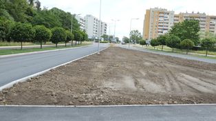 Przebudowa ulicy Komisji Edukacji Narodowej w Stalowej Woli. Jak idą prace? Rośliny będą posadzone jesienią.