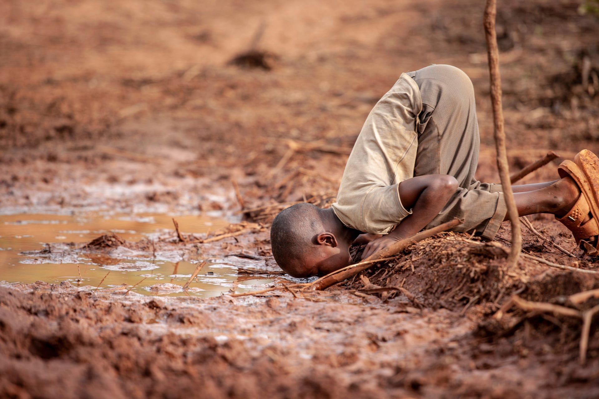 Enviromental Photography Of The Year 2019. Tak wygląda nasza planeta 4