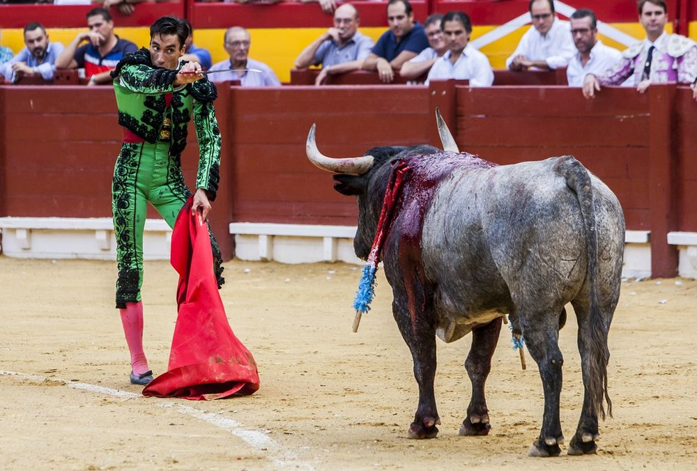 Francja: tragiczny finał korridy; zginął słynny matador