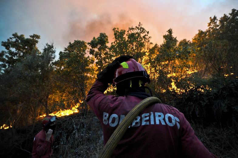 Pożar w Portugalii. Walka trwa już drugą dobę