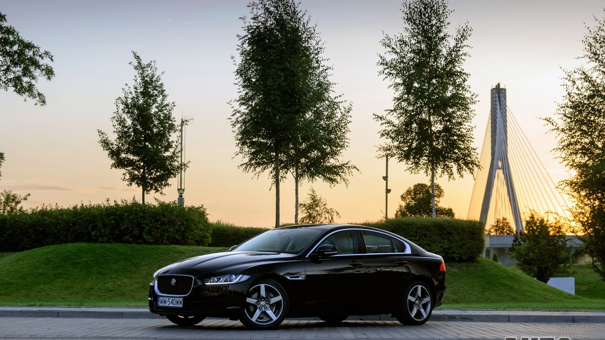 Zdjęcie ilustracyjne do artykułu