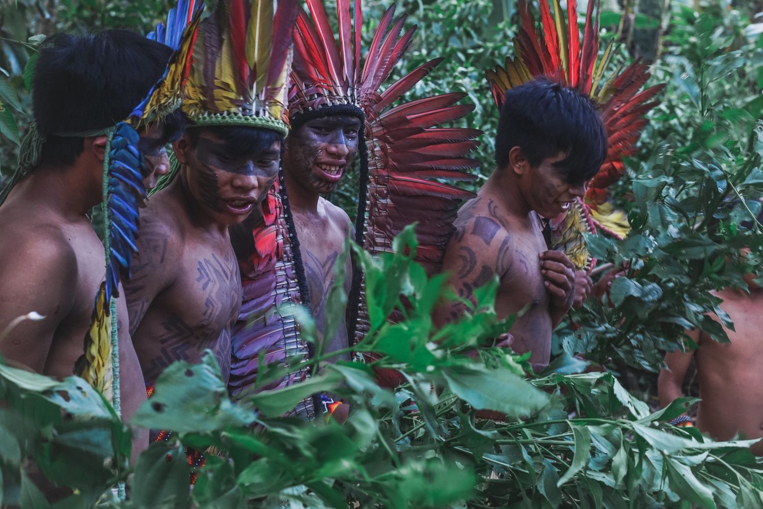 Vitor skupia się na badaniu i dokumentowaniu nadużyć państwowo-korporacyjnych wobec społeczności tubylczych
