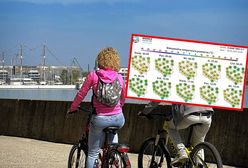 Wraca zimno i przymrozki. Pogoda na pierwszą połowę maja