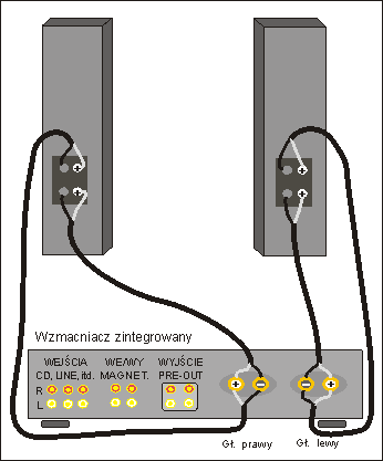 &nbsp;bi-wiring / podłączenie