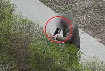 Zdjęcie z Warszawy. Tak uśmiercono 20 dzików